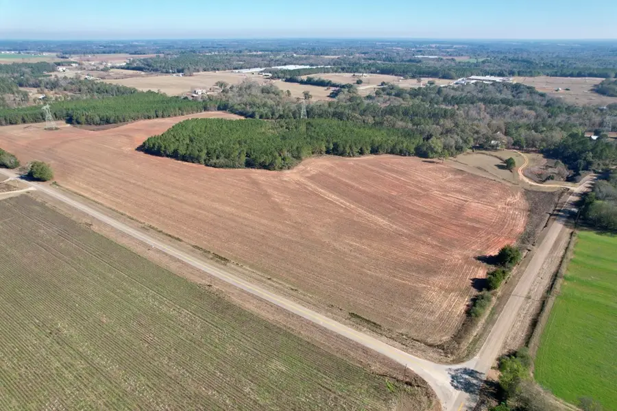 Lot 8 County Rd 6, Headland, AL 36345 - Image #3