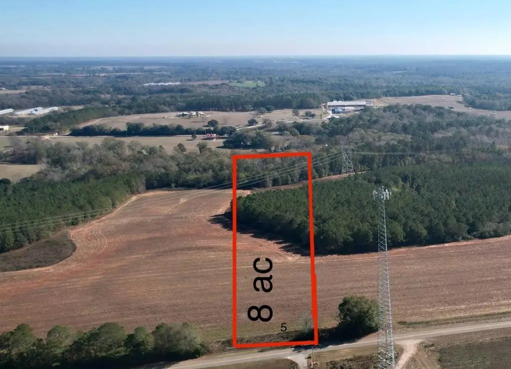 LOT 5 County Rd 238, Headland, AL 36345 - Image #1