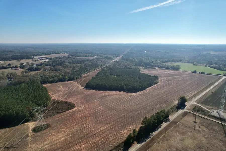 LOT 5 County Rd 238, Headland, AL 36345 - Image #2