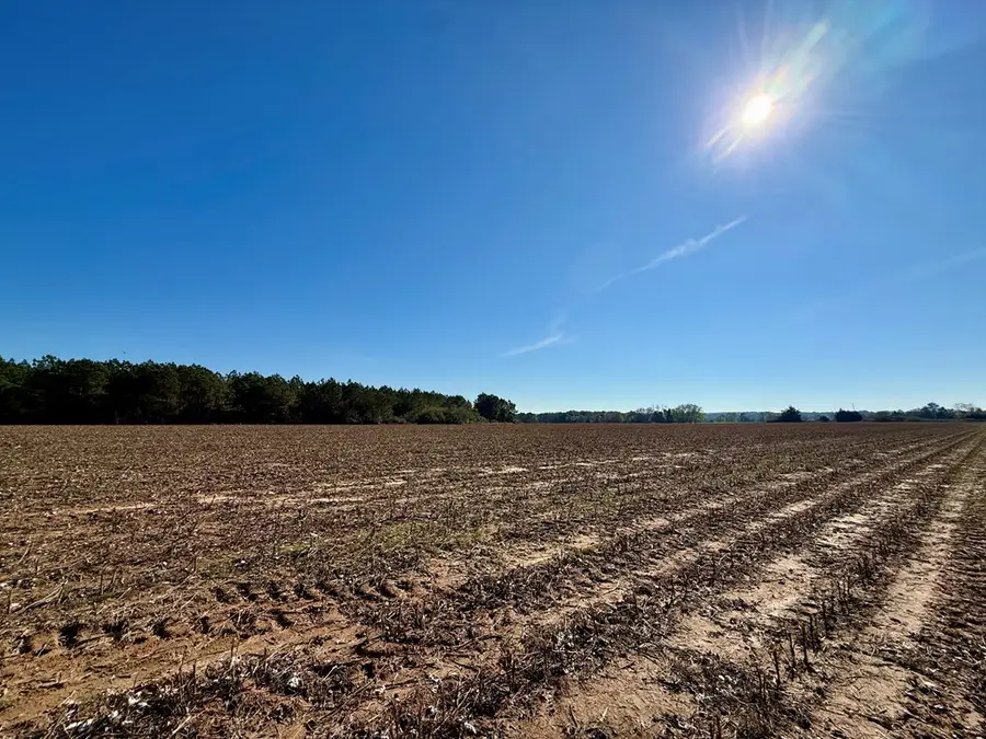 LOT 5 County Rd 238, Headland, AL 36345 - Image #3