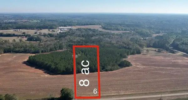 Lot 6 County Rd 238, Headland, AL 36345