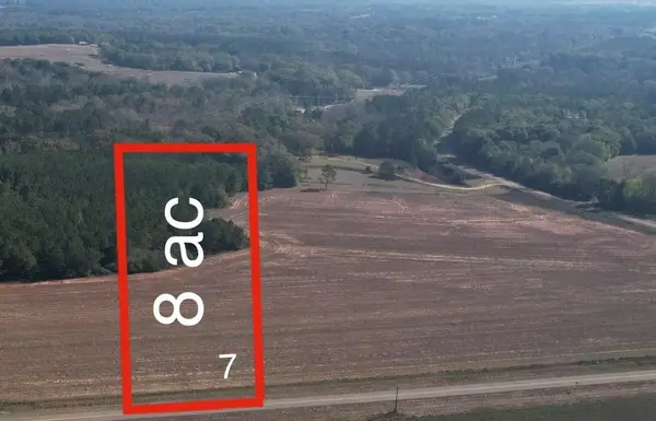 Lot 7 County Rd 238, Headland, AL 36345