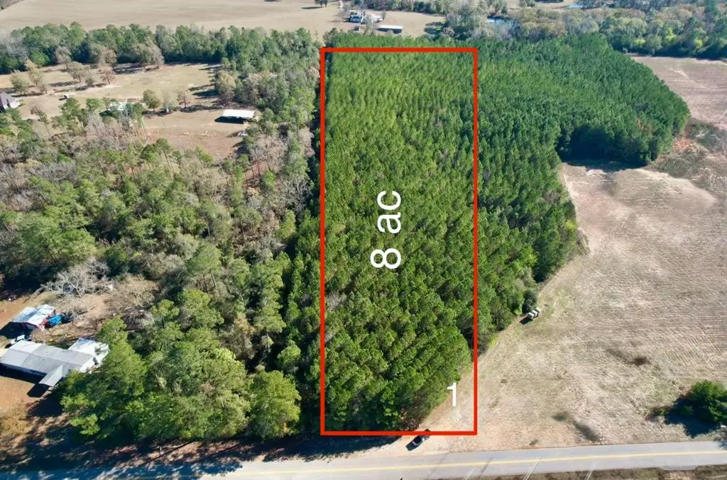 LOT 1 County Rd 238, Headland, AL 36345 - Image #1