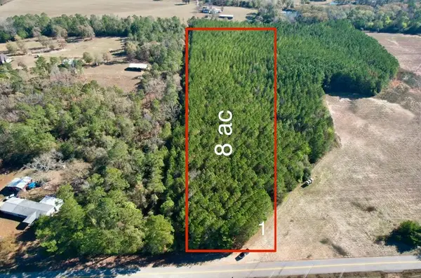 LOT 1 County Rd 238, Headland, AL 36345