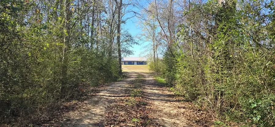 650 Grady Garner Rd (27.8 Acres), Slocomb, AL 36375 - Image #2