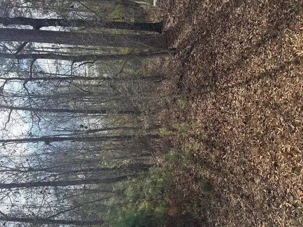 0 Singer Ln, Abbeville, AL 36310