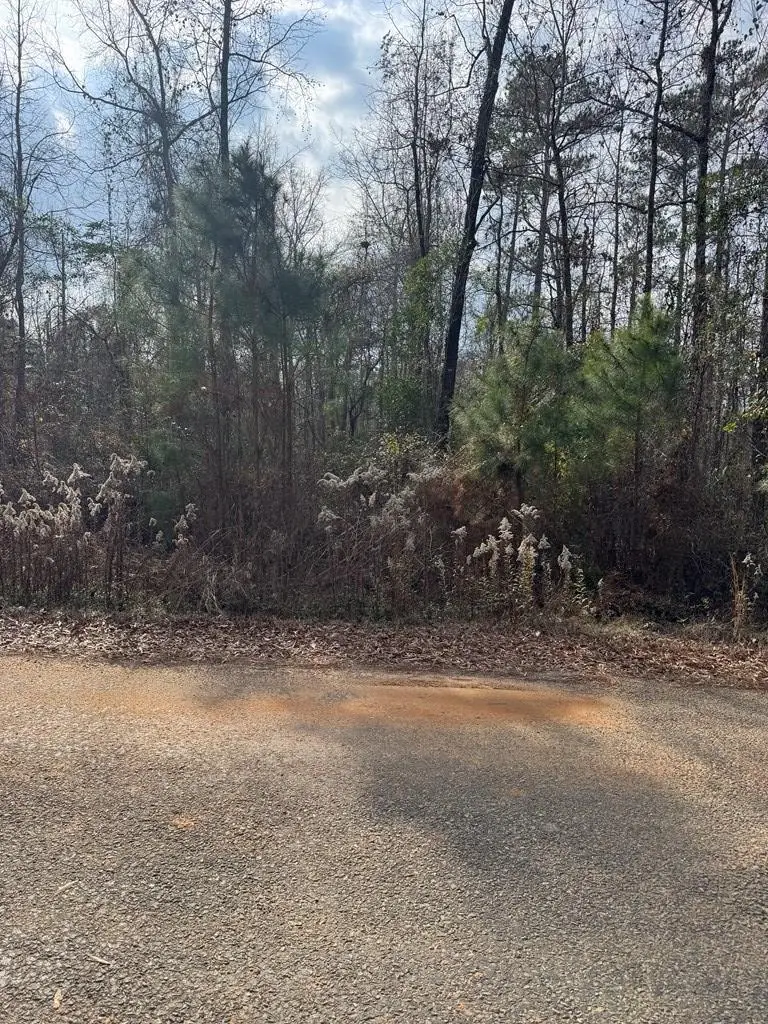 0 Singer Ln, Abbeville, AL 36310 - Image #2