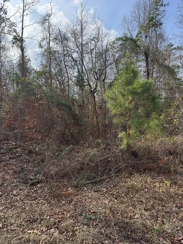 0 Singer Ln, Abbeville, AL 36310 - Image #3