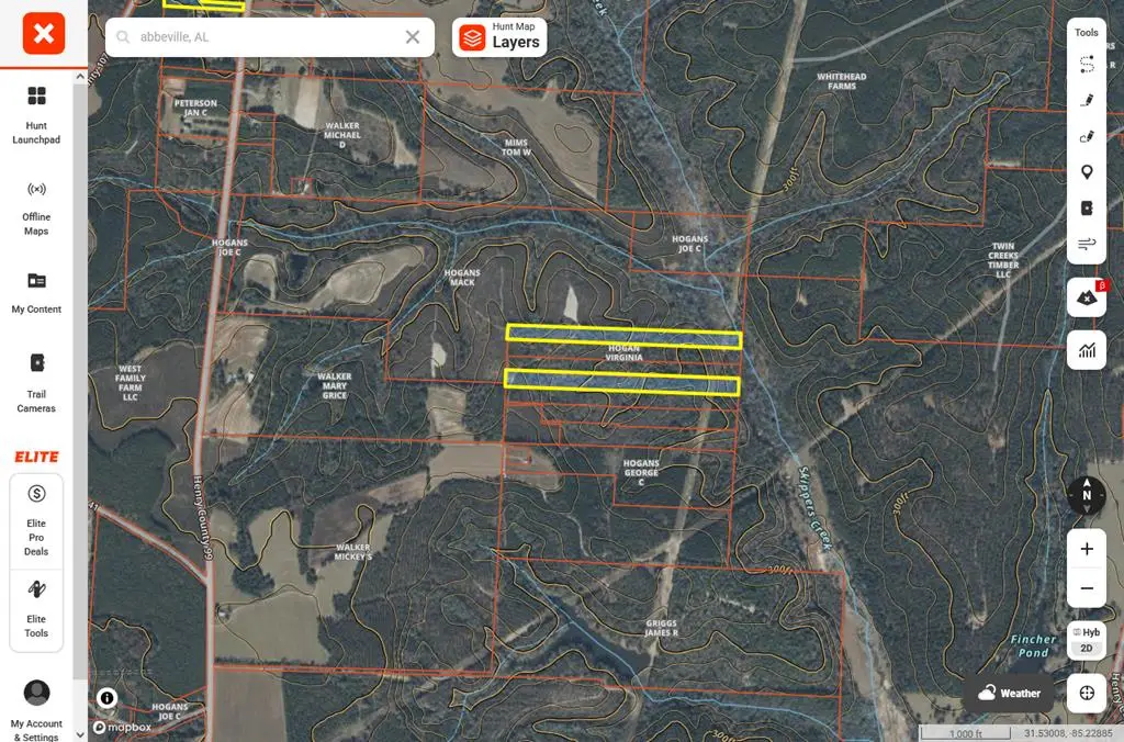 TBD County Road 99, Abbeville, AL 36310 - Image #1