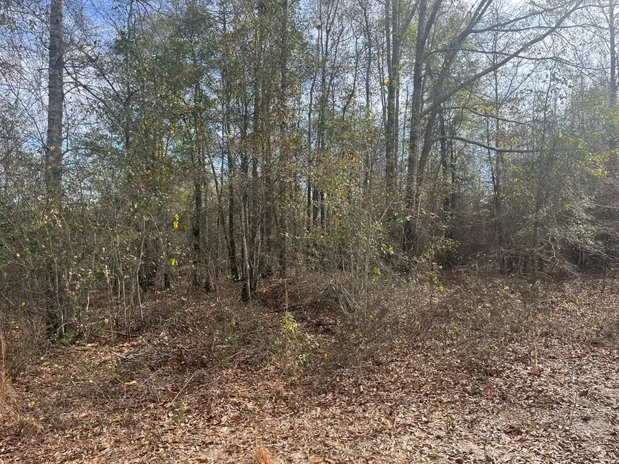 TBD County Road 99, Abbeville, AL 36310 - Image #2
