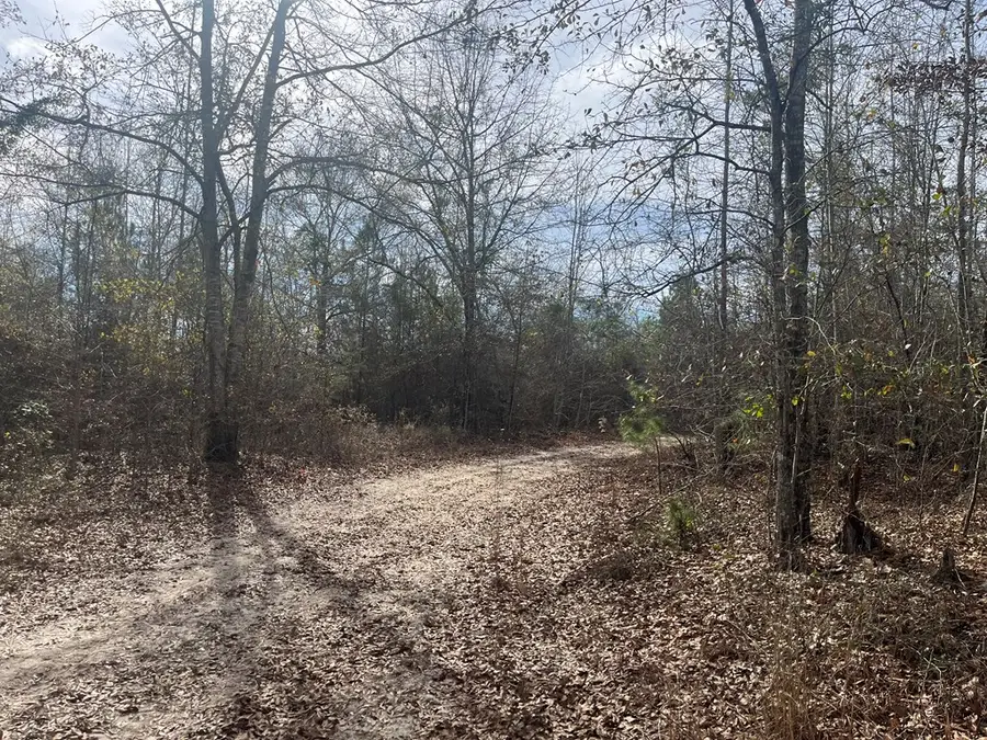 TBD County Road 99, Abbeville, AL 36310 - Image #3
