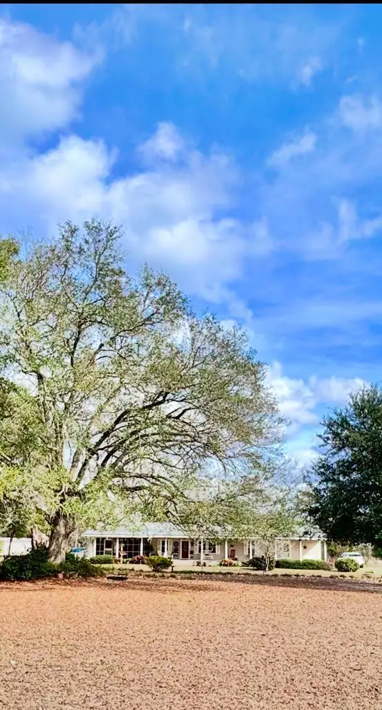 449 County Road 112, Columbia, AL 36319 - Image #2