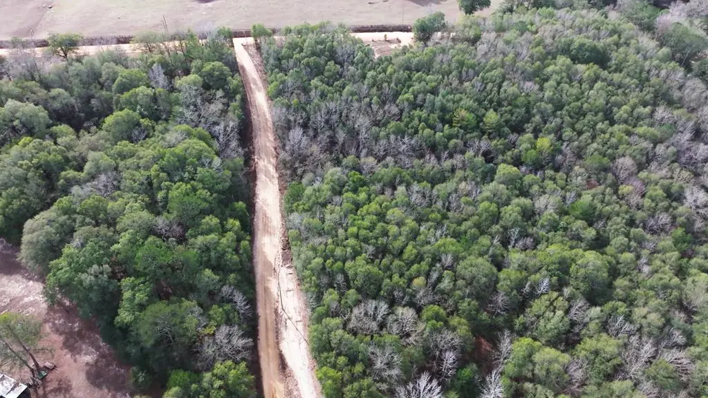 0 County Road 53 North East Of, Abbeville, AL 36319 - Image #1