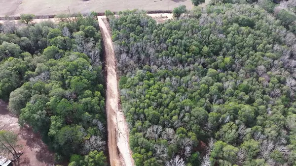 0 County Road 53 North East, Abbeville, AL 36310