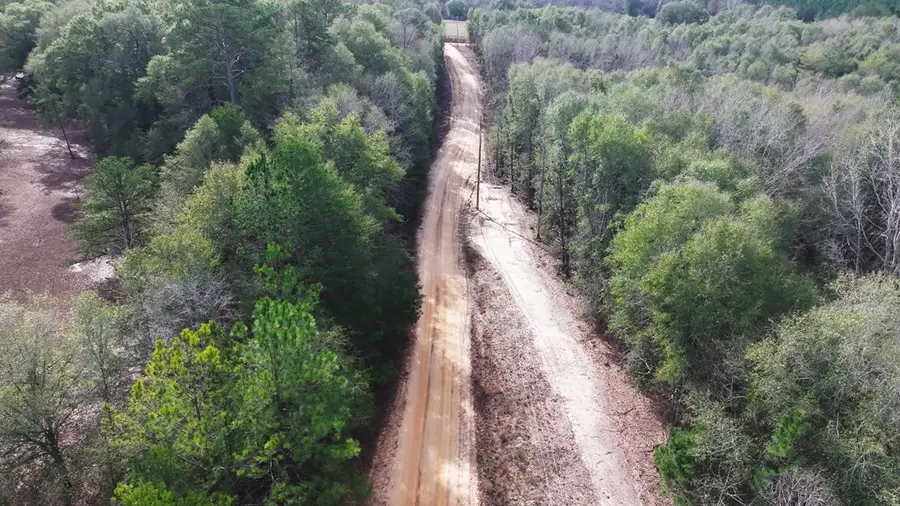 0 County Road 53 North East Of, Abbeville, AL 36319 - Image #2