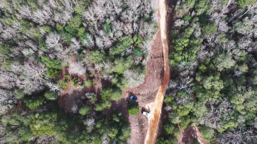 0 County Road 53 North East Of, Abbeville, AL 36319 - Image #3