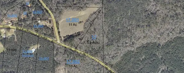 5.9 +/- Acres County Road 321, Elba, AL 36323