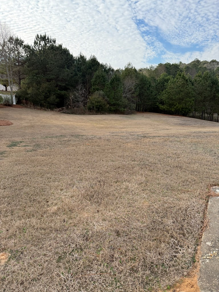 0.85 ac County Road 164, Enterprise, AL 36351 - Image #3