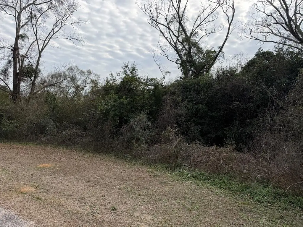 4.31 ac Langston Street, New Brockton, AL 36351 - Image #1