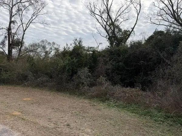 4.31 ac Langston Street, New Brockton, AL 36351