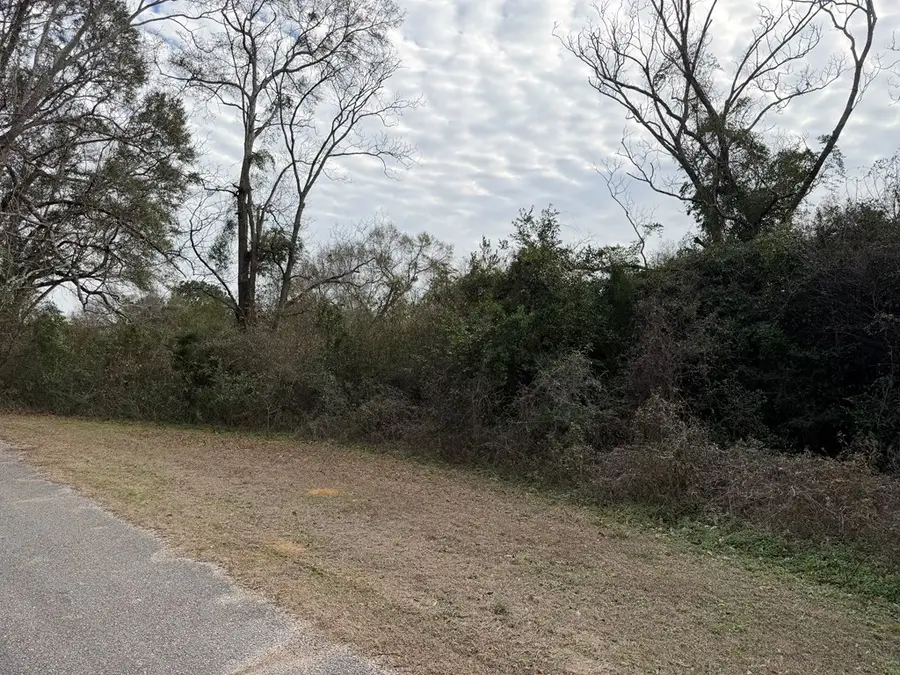4.31 ac Langston Street, New Brockton, AL 36351 - Image #3