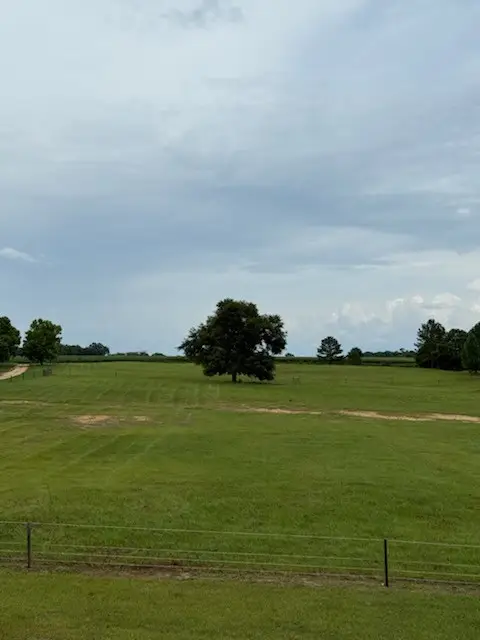 654 County Rd 21, Headland, AL 36345 - Image #3