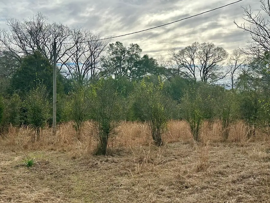 207 Cherry Street, Chancellor, AL 36316 - Image #3