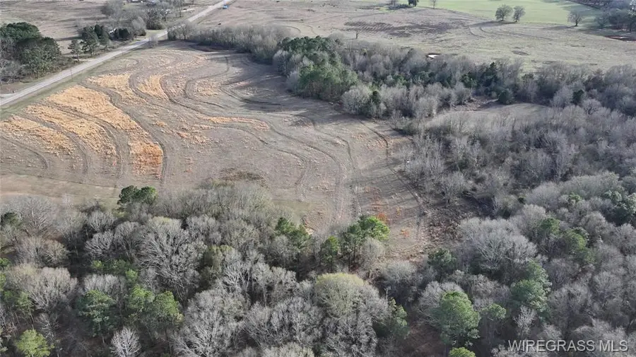 8995 Montgomery Highway, Luverne, AL 36049 - #3