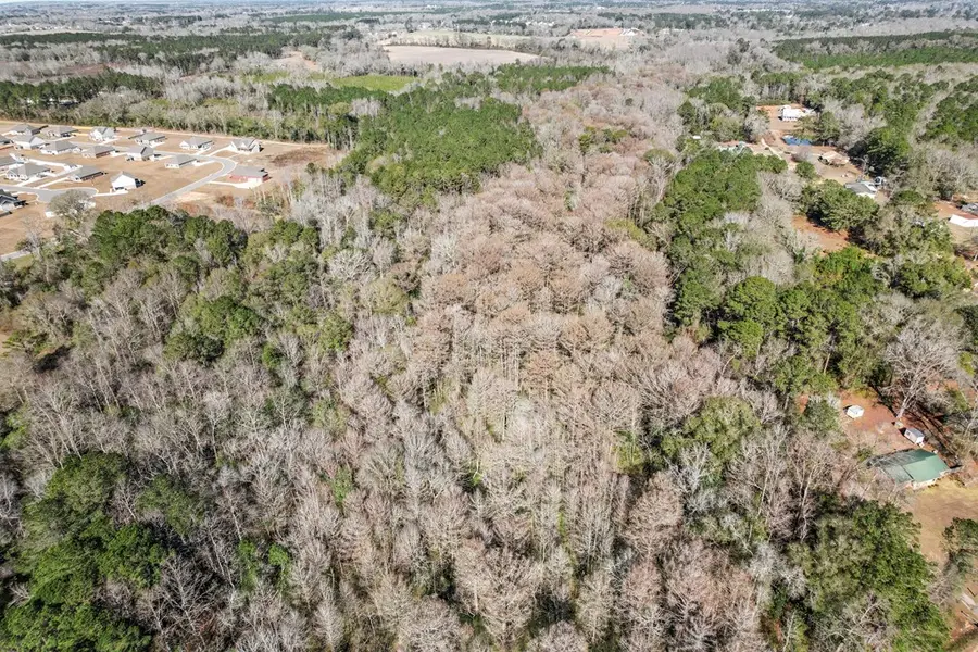 0 County Road 203, Dothan, AL 36301 - Image #2