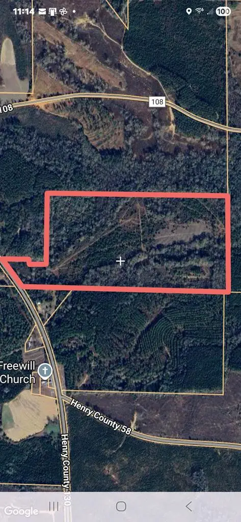 3581 County Road 130, Clopton, AL 36317 - #3