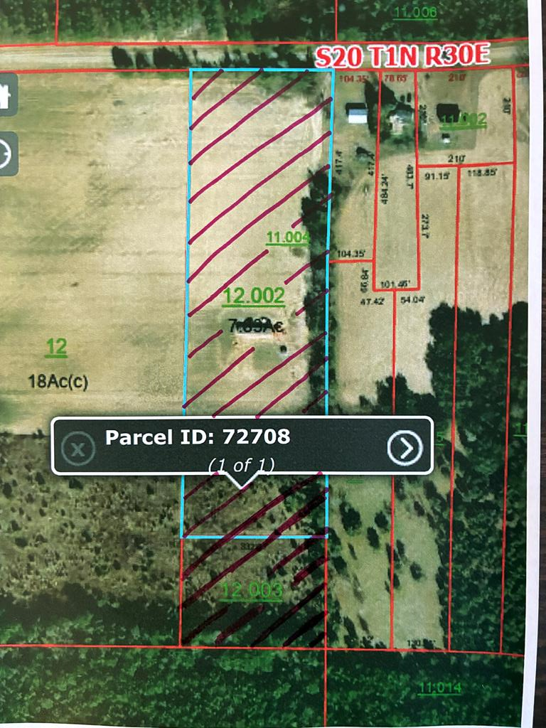 1788 Melton Rd, Gordon, AL 36343 - #2