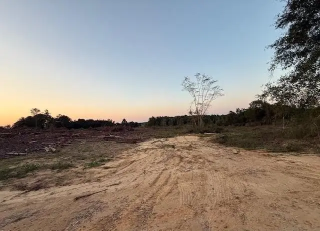 0 County Road 682, Coffee Springs, AL 36318 - Image #3