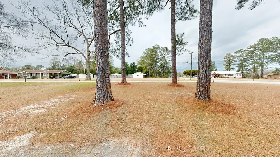1078 Morrow Avenue, Elba, AL 36323 - Image #2