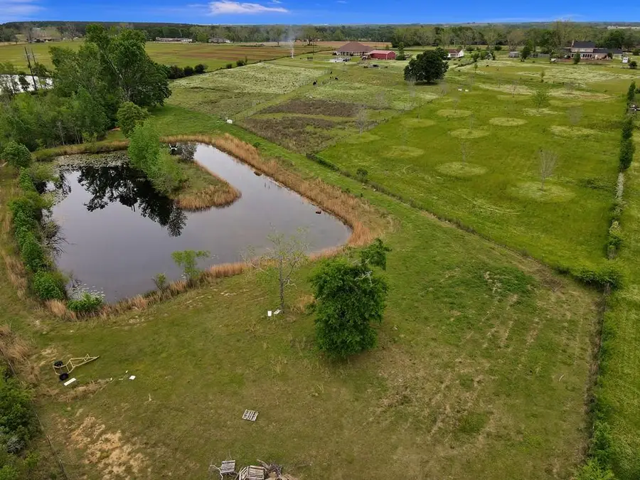 3259 N County Rd 9, Dothan, AL 36305 - Image #3