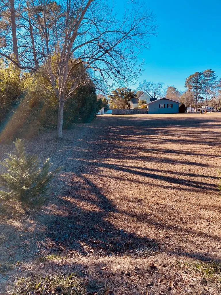 0 N Broadway, Ashford, AL 36312 - #3