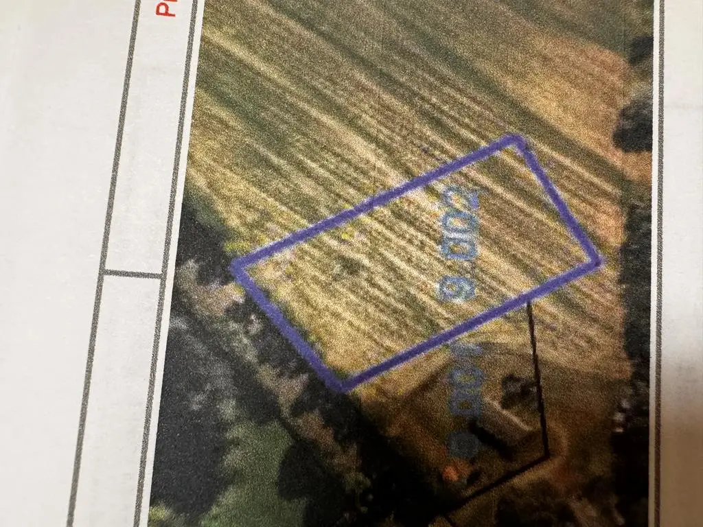 0 County Road 6, Eunola, AL 36340 - Image #1