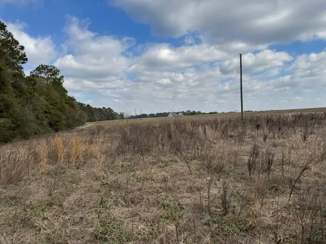 0 County Road 6, Eunola, AL 36340 - #3