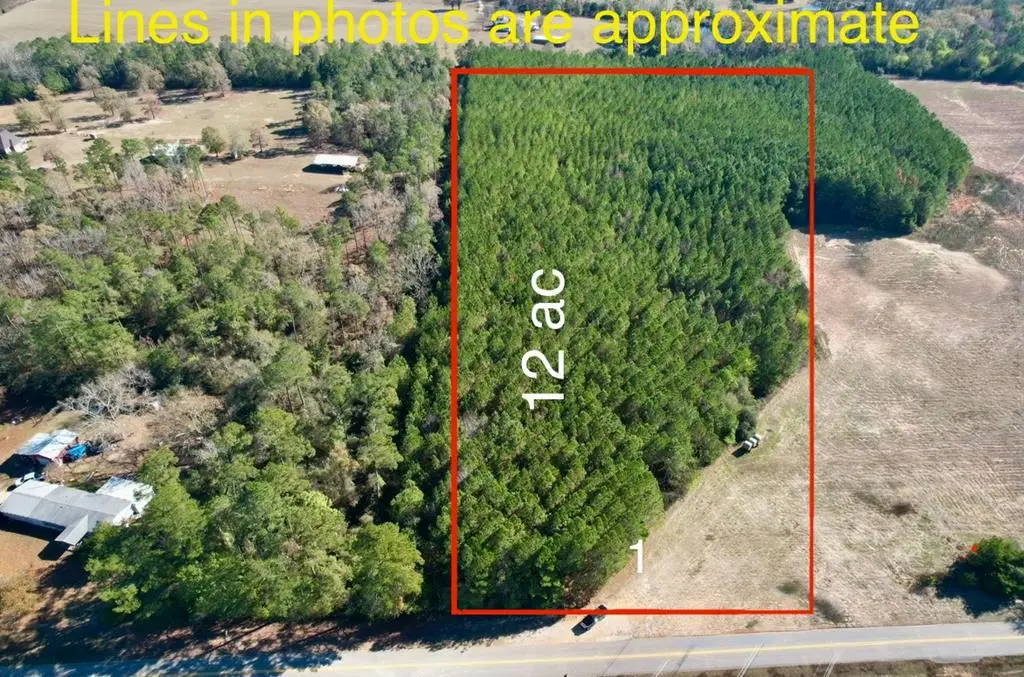 0 County Rd 238, Headland, AL 36345 - Image #1