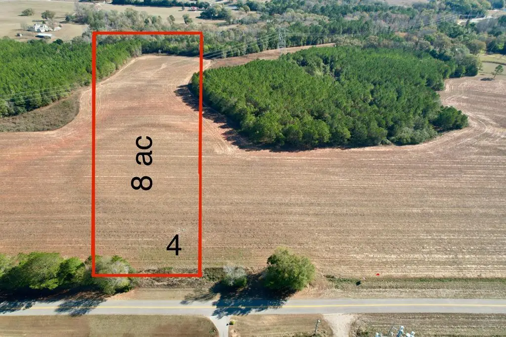 LOT 4 County Rd 238, Headland, AL 36345 - Image #1