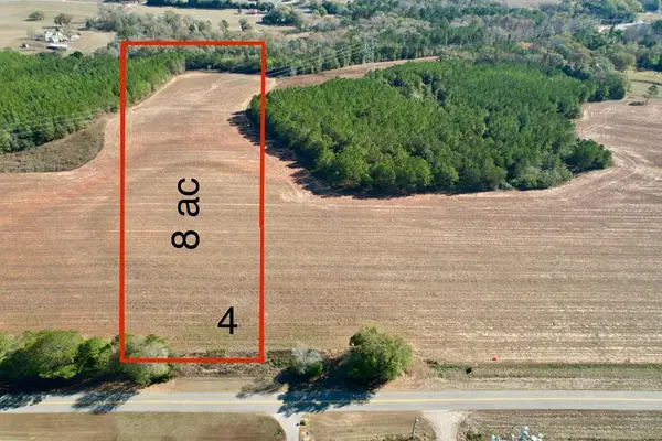 LOT 4 County Rd 238, Headland, AL 36345
