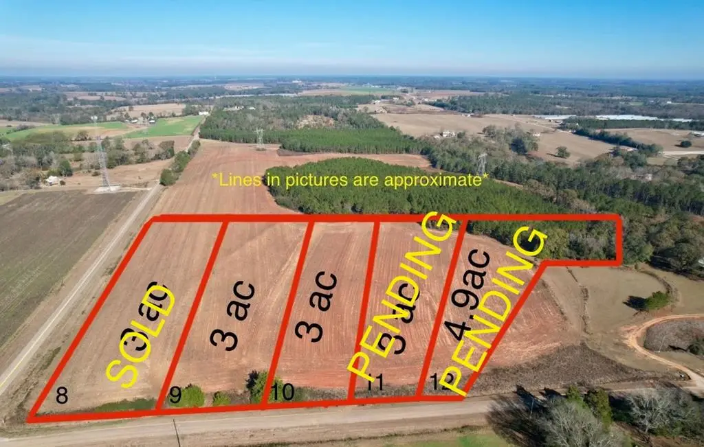 Lots 9 & 10 County Rd 6, Headland, AL 36345 - Image #1