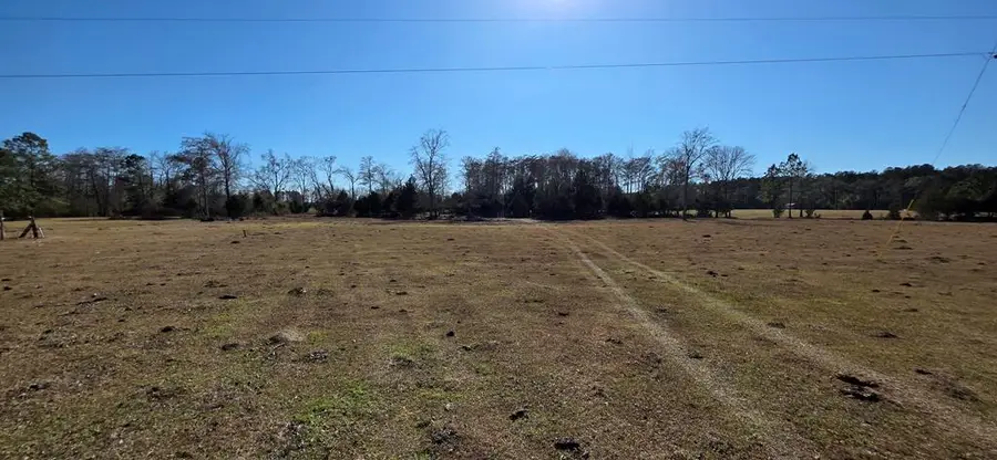 18.5 Acres Nobles Rd 18.5 Acres, Cottonwood, AL 36320 - #3