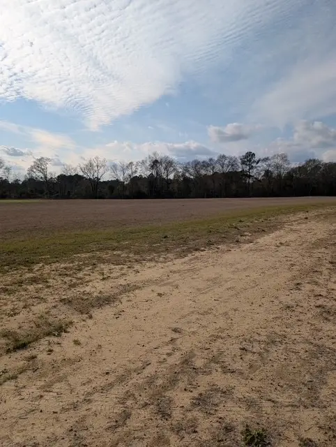 0 Iris Road, Dothan, AL 36301 - Image #3