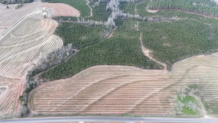 0 County Road 22 (lot 1), Headland, AL 36345 - Image #3