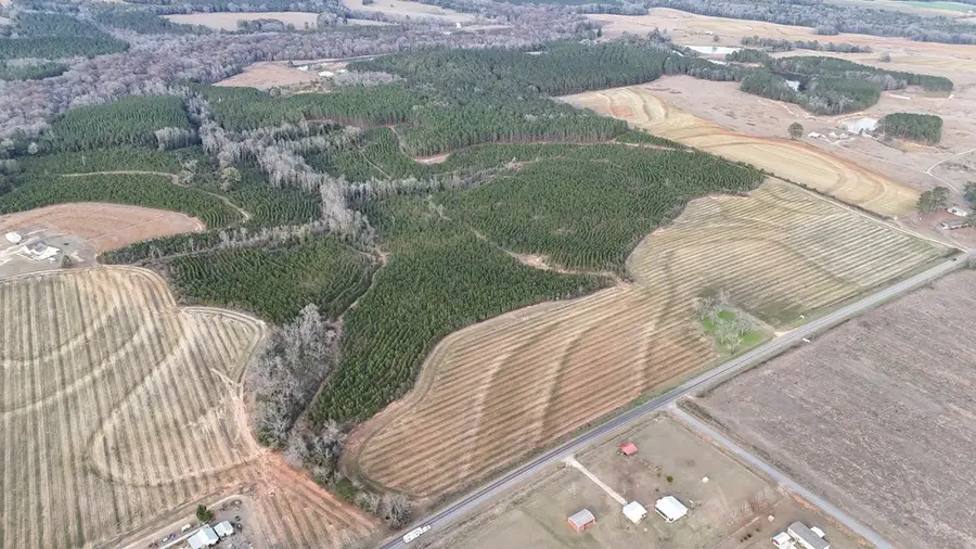 0 County Road 22 (lot 2), Headland, AL 36345 - Image #2