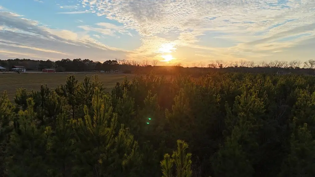 0 County Road 22 (lot 4), Headland, AL 36345 - Image #1