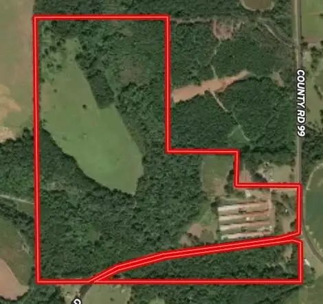 0 County Road 99, Chancellor, AL 36318