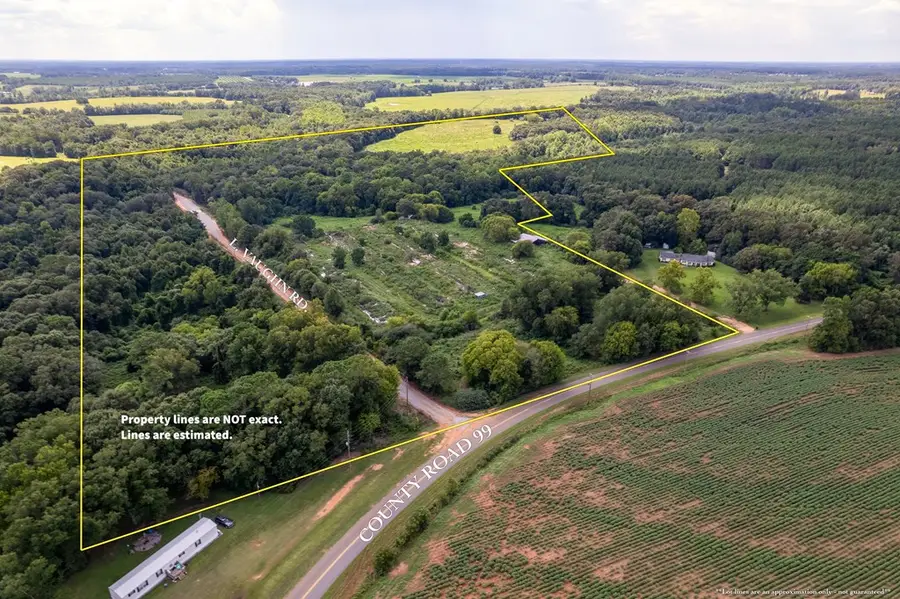 0 County Road 99, Bellwood Coffee Springs, AL 36318 - Image #2