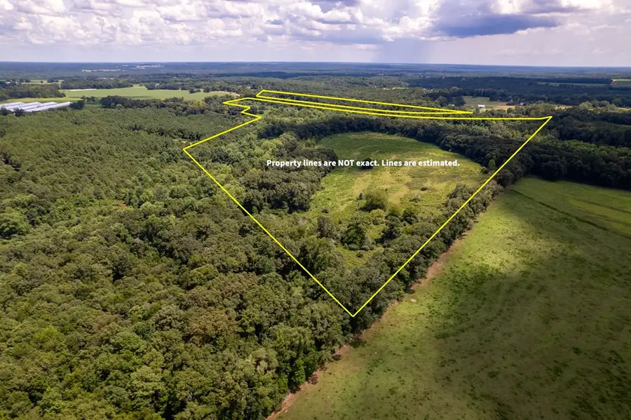 0 County Road 99, Bellwood Coffee Springs, AL 36318 - Image #3