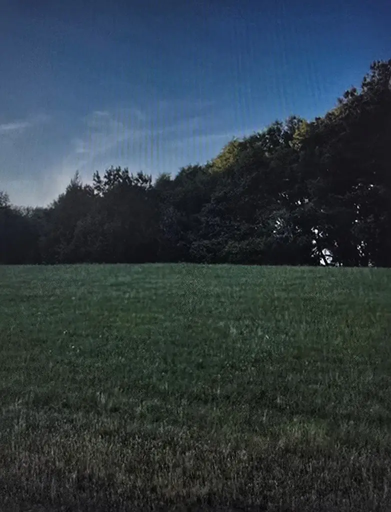 0 W Boll Weevil Circle, Enterprise, AL 36330 - #2